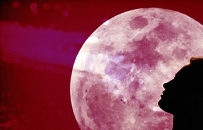 You Wouldn't Want To Miss This April's 2021 Pink Full Moon ...