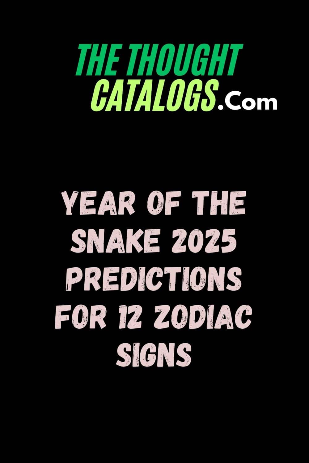 Year of the Snake 2025 Predictions for 12 Zodiac Signs